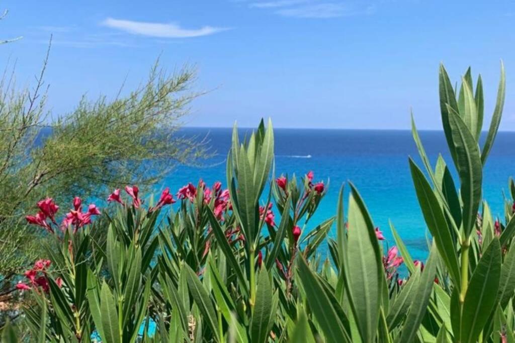 Boutique Apartment With Beach Within Walking Distance, Near Tropea Parghelia Kültér fotó